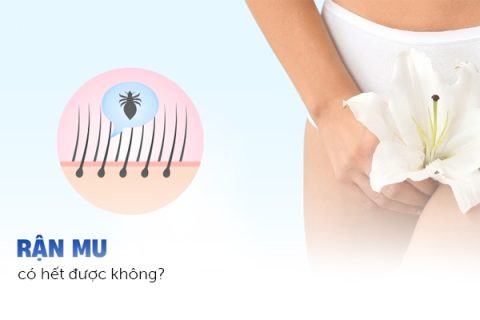 Bệnh rận mu hết được không