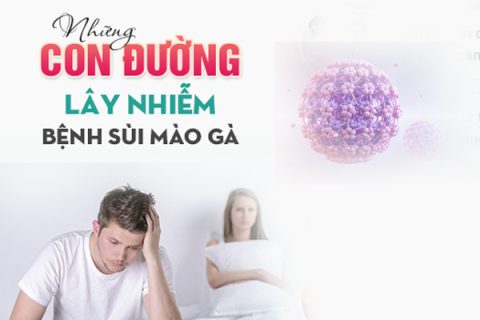 Bệnh sùi mào gà lây qua đường nào