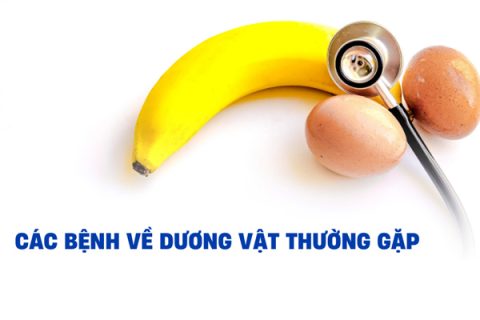 Các bệnh dương vật ở nam giới hay gặp