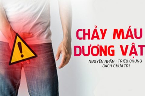 Chảy máu dương vật là bị bệnh gì