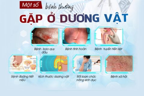 Điểm danh các bệnh dương vật thường gặp