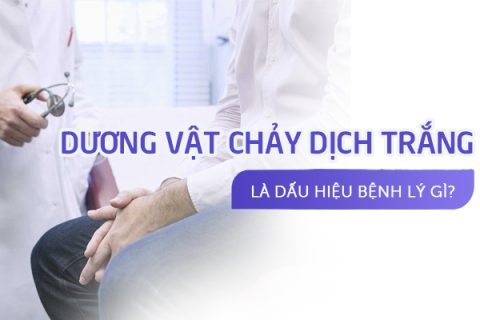 Dương vật chảy dịch trắng là dấu hiệu bệnh lý gì