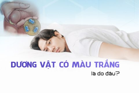 Dương vật có màu trắng là do đâu