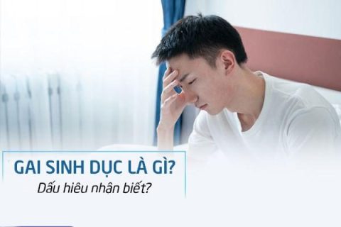 Gai sinh dục