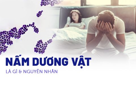 Nấm dương vật là gì Nguyên nhân gây nấm dương vật
