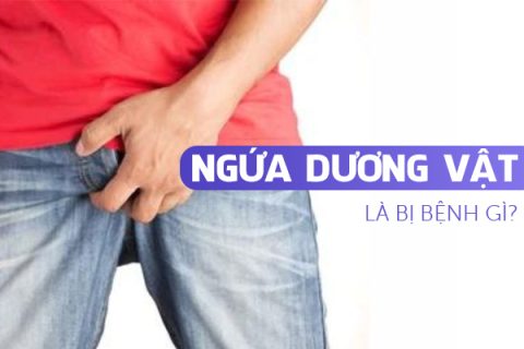 Ngứa dương vật là bị bệnh gì
