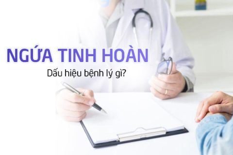 Ngứa tinh hoàn là dấu hiệu bệnh lý gì