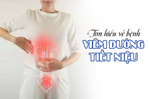 Tìm hiểu về bệnh viêm đường tiết niệu ở nữ