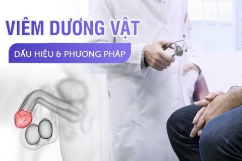 Viêm dương vật Dấu hiệu và phương pháp điều trị