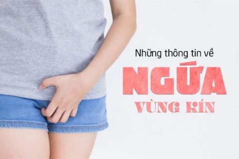 khung TĐ