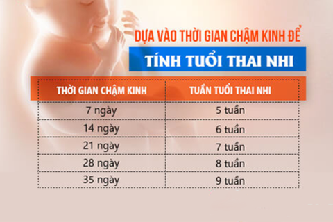 tinh-tuoi-thai-cham-kinh